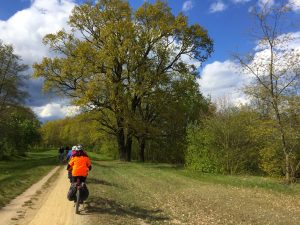 Im Sonnenschein über den Deich