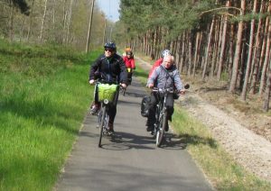 Zwei Tandems auf der Strecke im Wald