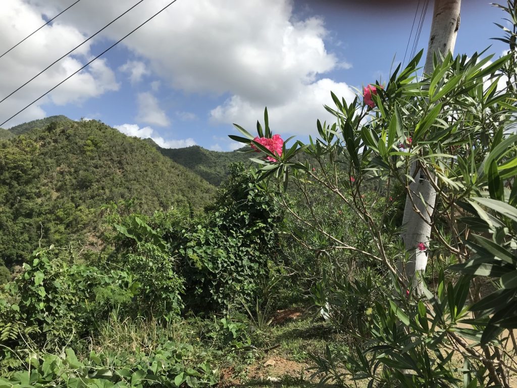 Die Berge der Sierra Maestra